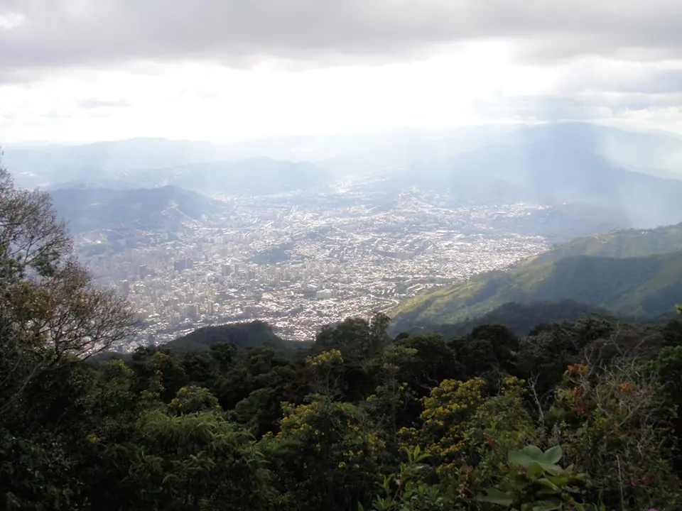 Green Spaces in Petare: Parks and Natural Areas · 1