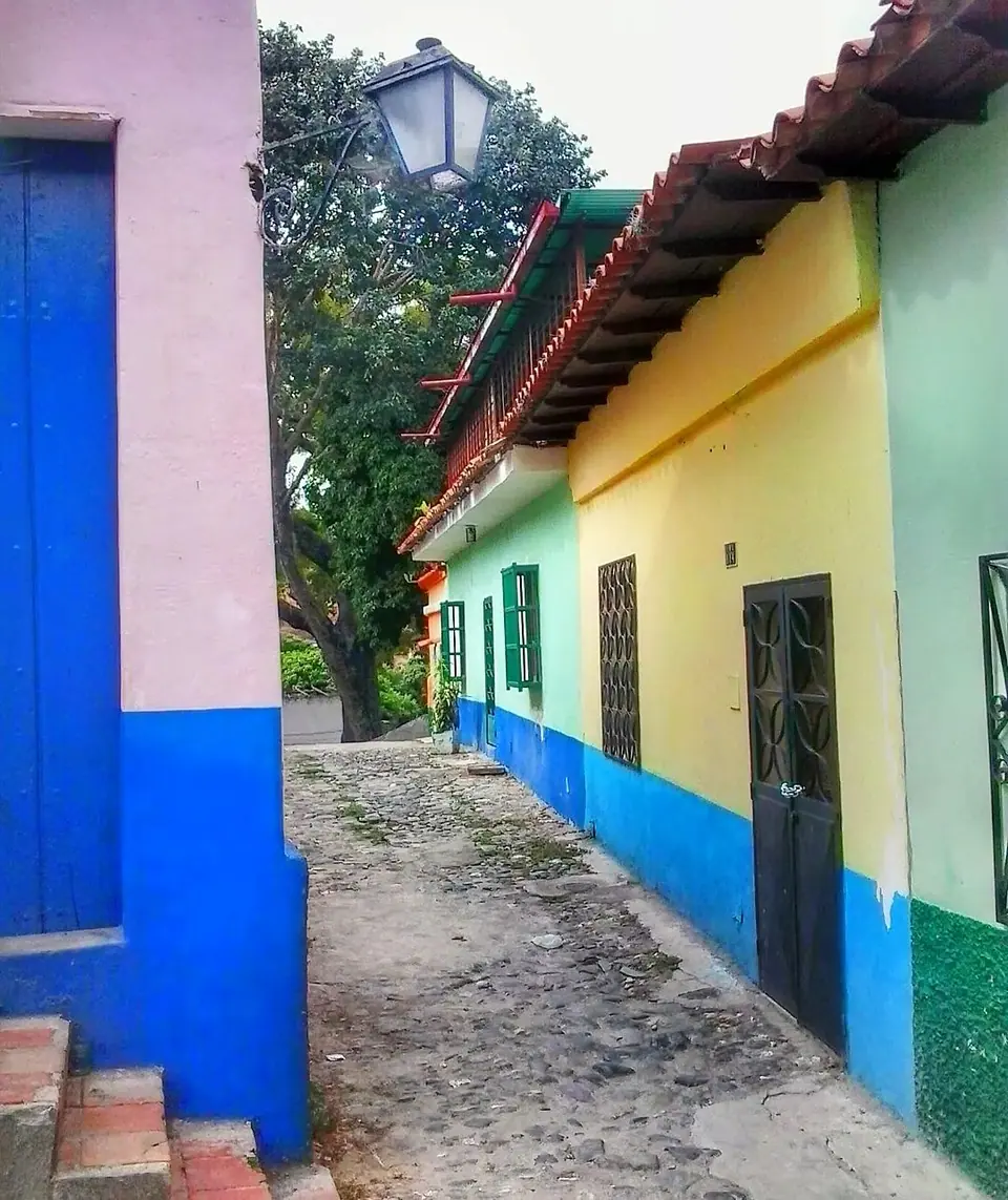 Callejón Z: Petare's Royal Road · 1