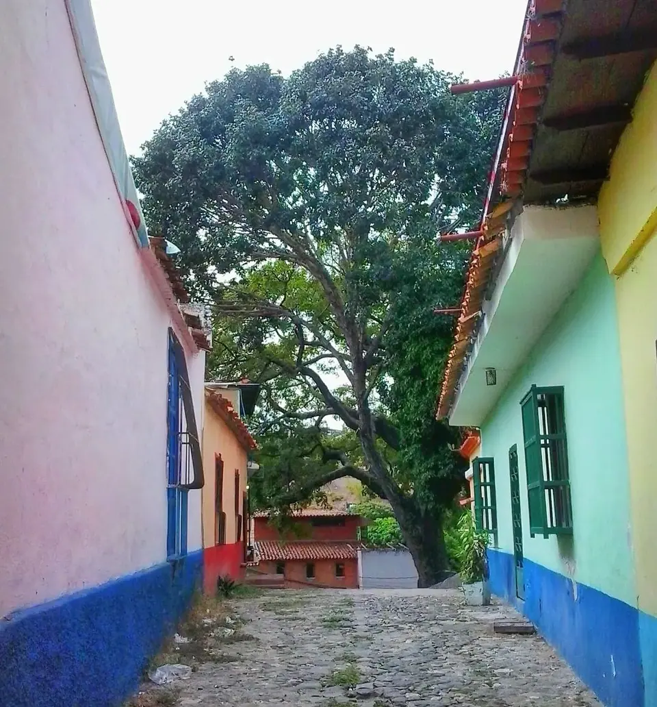 Callejón Z: Petare's Royal Road
